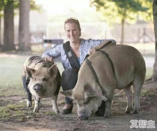 女人与公猪交交：惊人内幕曝光，竟然是为了拯救濒危品种的另类养殖计划！