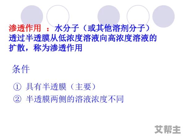 粗硕不停的进出np，最新研究揭示其对生态系统的深远影响，引发科学界广泛关注与讨论