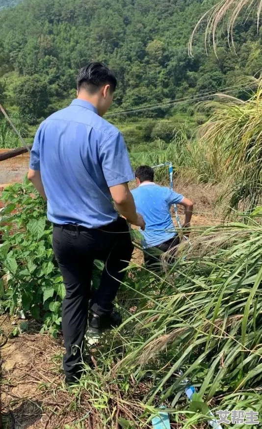 两岸夹小溪地湿又无泥：浅谈生态环境对水体质量的影响及其保护措施研究