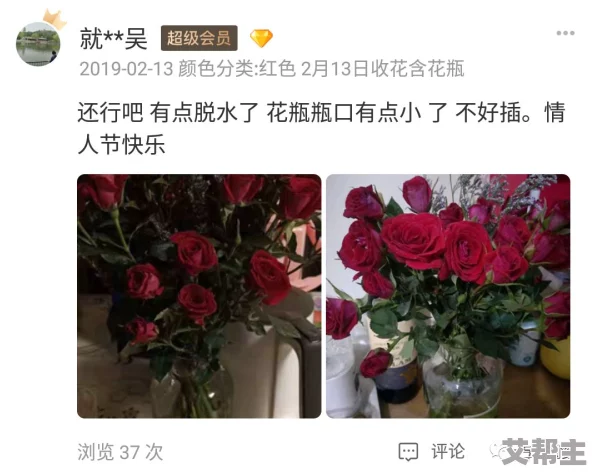 吃花核心我要：探讨如何在日常饮食中融入花卉元素，提升生活品质与健康的独特方式