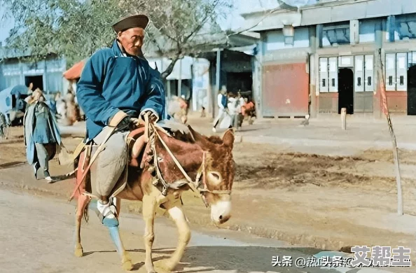 乌克兰老太婆性生话：在战争阴影下的生活与情感挣扎，探讨老年女性的性别认同与社会角色变化