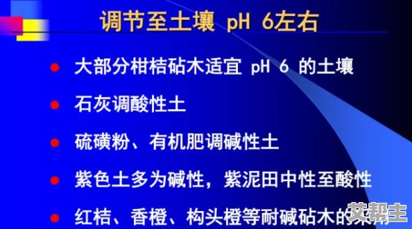 久久久精品一区二区三区＂引发热议，业内专家解析其对未来科技发展的深远影响与潜在机遇