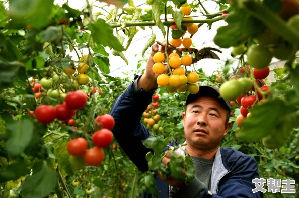 东南亚未发育孩交vi事件引发社会热议，背后真相令人震惊，呼吁加强儿童保护措施！