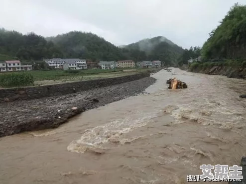 下面好多水好紧专家警告该地区即将面临严重洪涝灾害居民需做好防范措施以确保安全