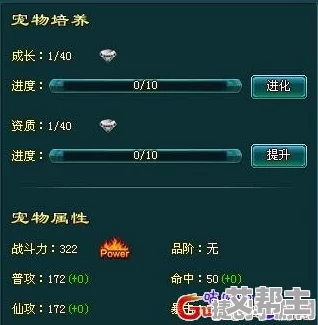 神魔仙尊游戏攻略：最新技巧助你快速获取顶级宠物与强化策略