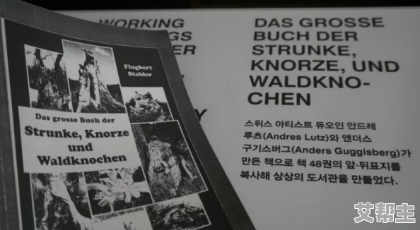 亚洲午夜一级毛片，内容丰富多彩，让人欲罢不能，真是一次难忘的体验！