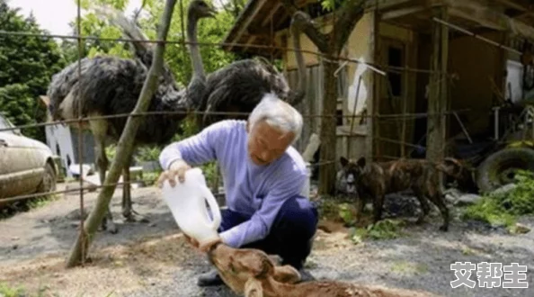 日本一区高清让我们感受到生活的美好与希望通过高质量的影像传递正能量激励我们追求更好的未来