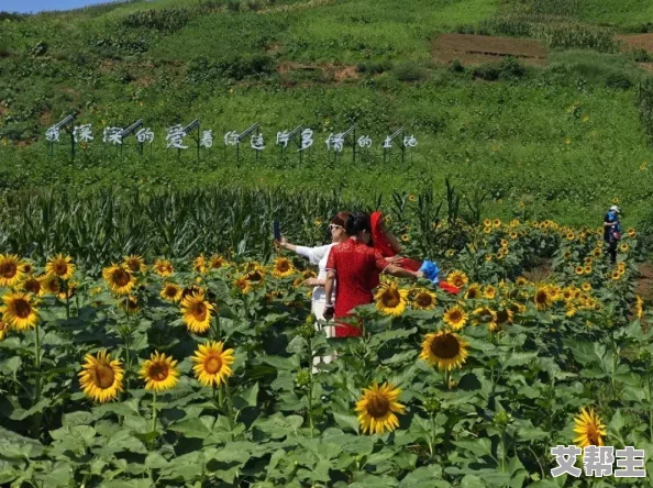 黄黄的视频其实是指那些充满阳光和正能量的内容，让我们一起探索大自然的美丽风光，感受生活的美好瞬间