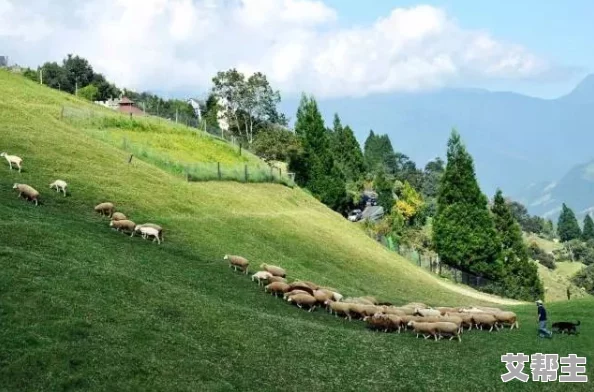 久久青青草原精品影院在这里我们可以享受高质量的影视作品同时也能感受到积极向上的生活态度让每一天都充满动力与希望