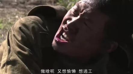 二级黄的全免费视频惊爆！超高清画质无删减内容让你大开眼界，绝对不容错过的精彩体验！