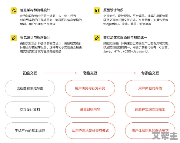 久久久网视频用户体验与内容质量深度解析