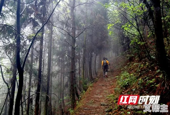 仙境传说RO手游玩家必看：高效体力恢复方法揭秘，助你快速重回战场